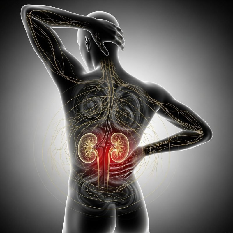 Infeccao De Urina Dra Nathally Baston Medica Nefrologista